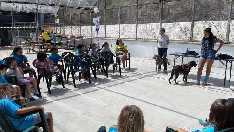 Actividad sobre bienestar animal en el campus urbano de Jinámar/TA.